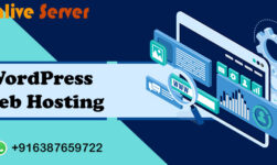 Best WordPress Web Hosting Provider – Onlive Server